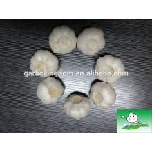 Natürlicher Knoblauch / Knoblauch in China / Großhandel Knoblauch Preis